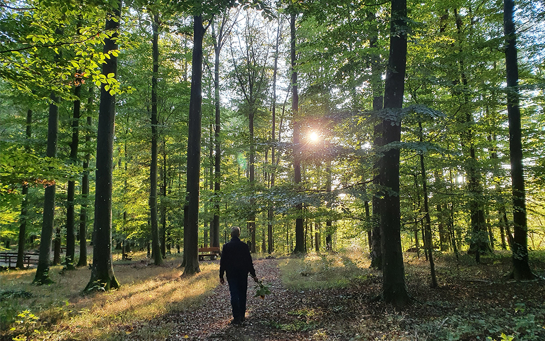 Waldfriedhof Friedrichsruhe