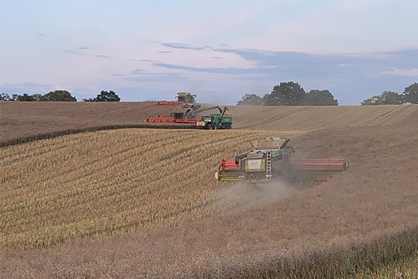 Landwirtschaft